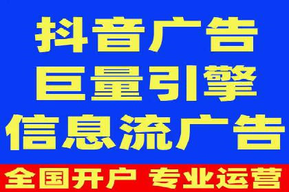 抖音信息流代理在电商行业的应用案例分析